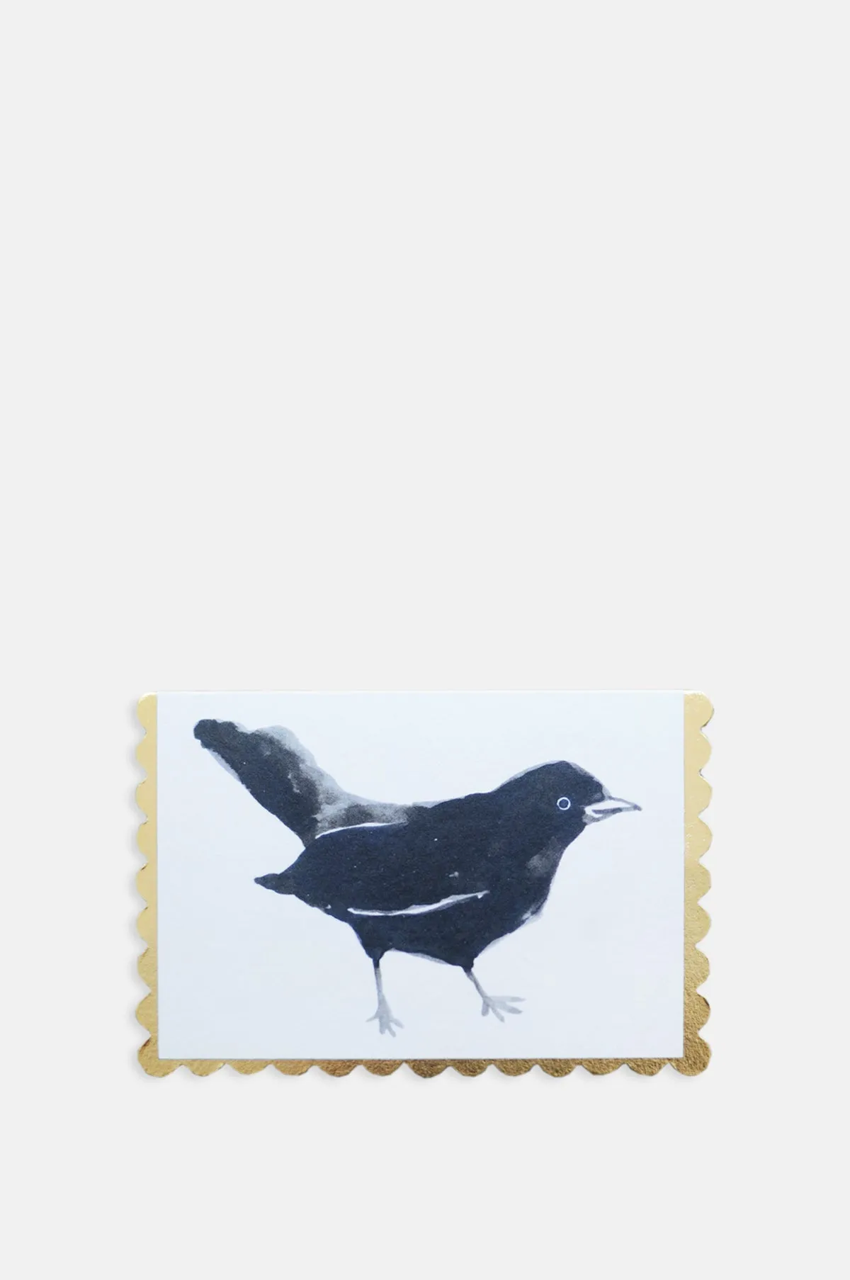 Blackbird Mini Card