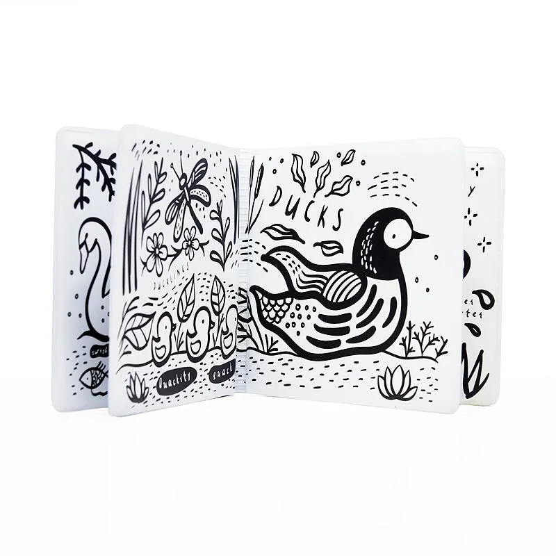 Color Me - Who's In the Pond - Bath Book