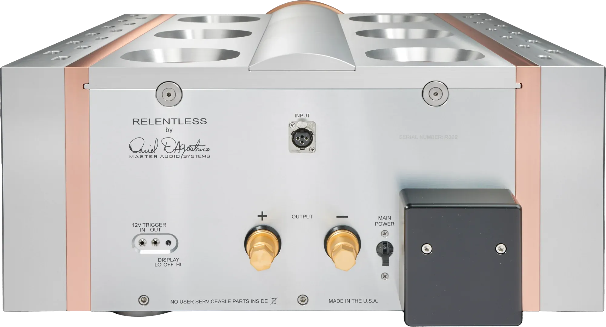 Dan D'Agostino Relentless Epic 1600 Monoblock Amplifier (pair)