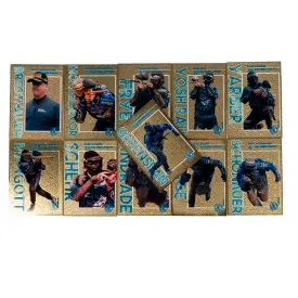Dynasty Special Edition Trading Cards -2024 GOLD EDITION