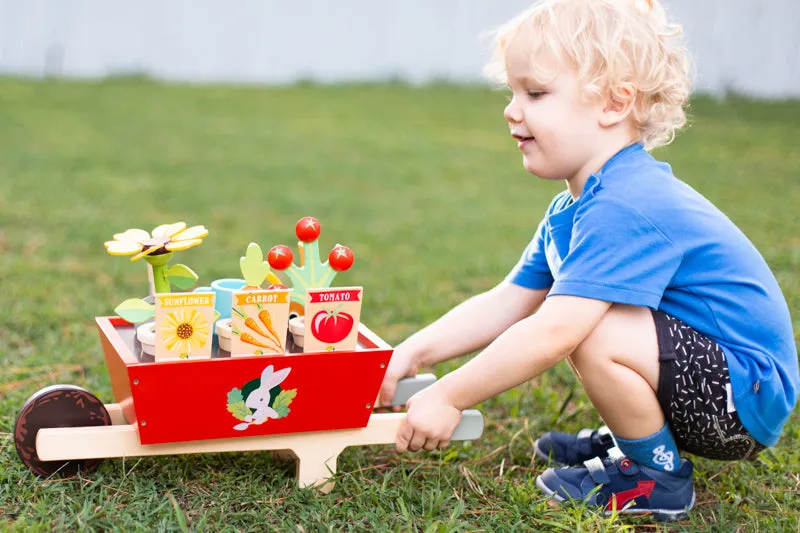 Garden Wheelbarrow Set
