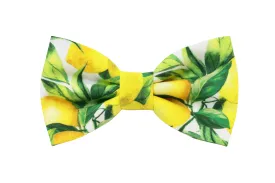 Limited Edition Lemons Papillon Bow Tie