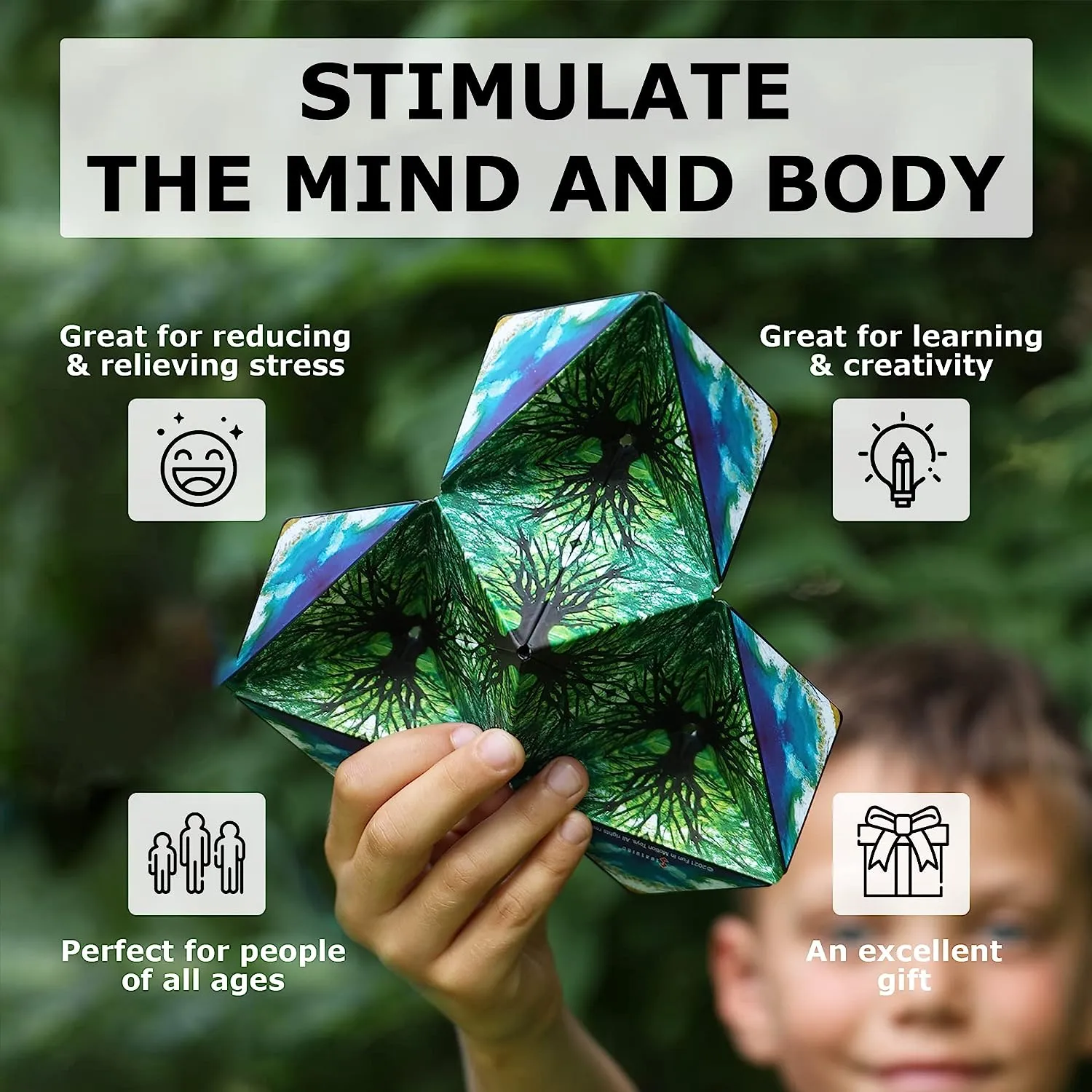 Shashibo Cube: Elements