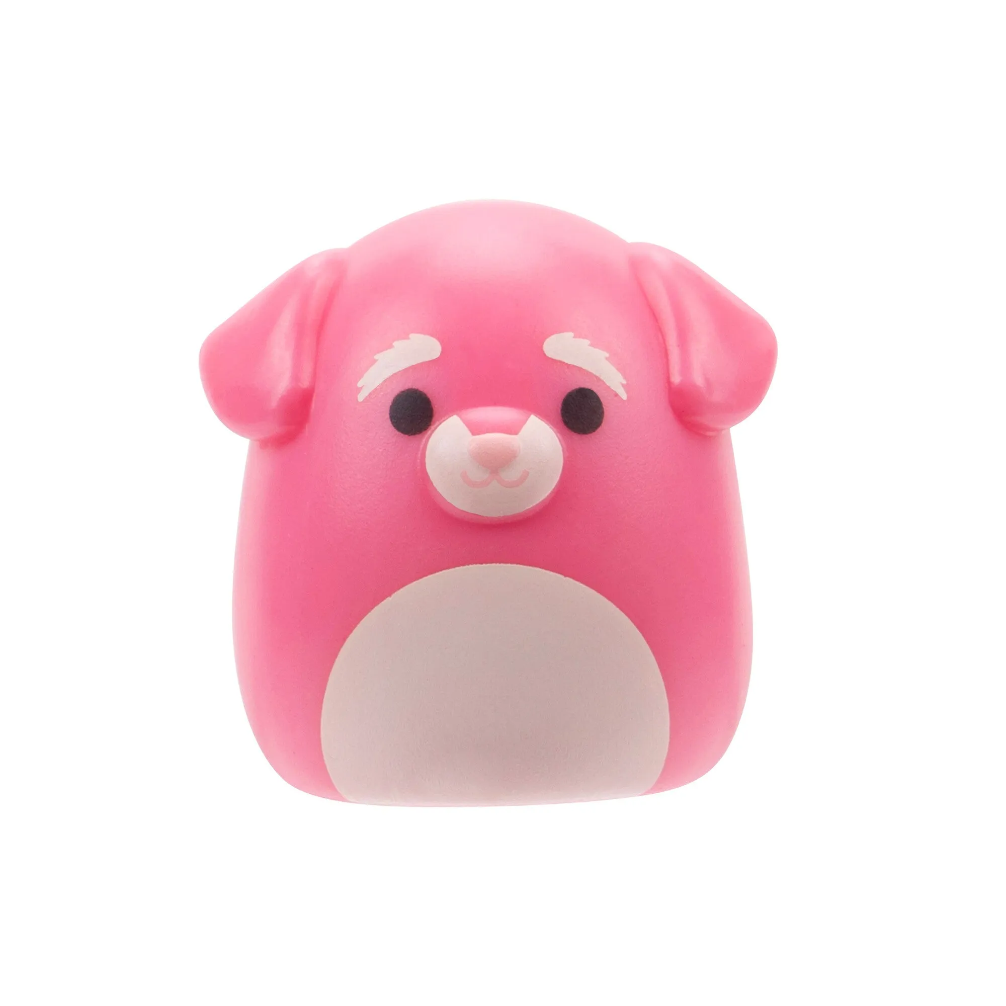 Squishalongs 2 Pack Blind Assortment