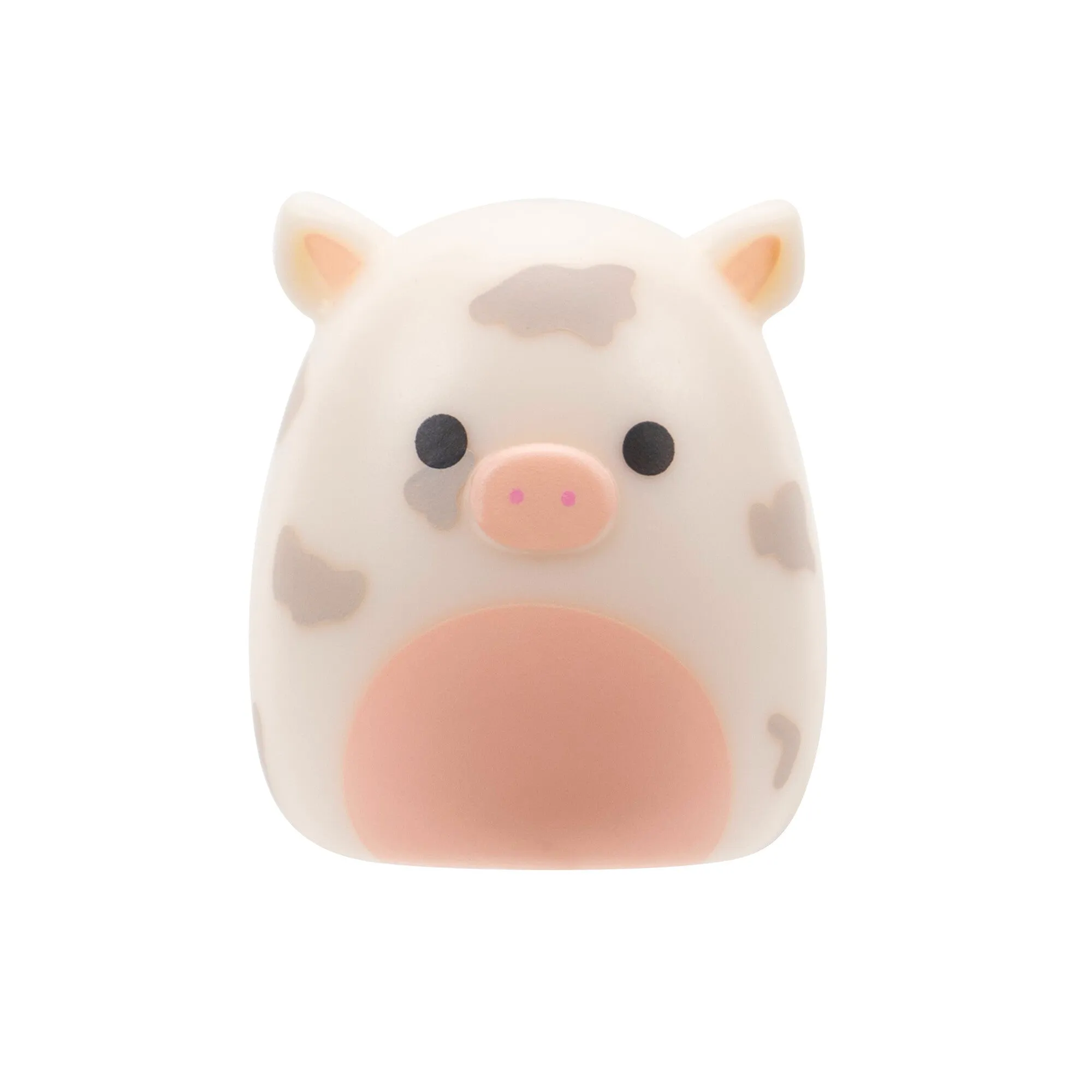 Squishalongs 2 Pack Blind Assortment