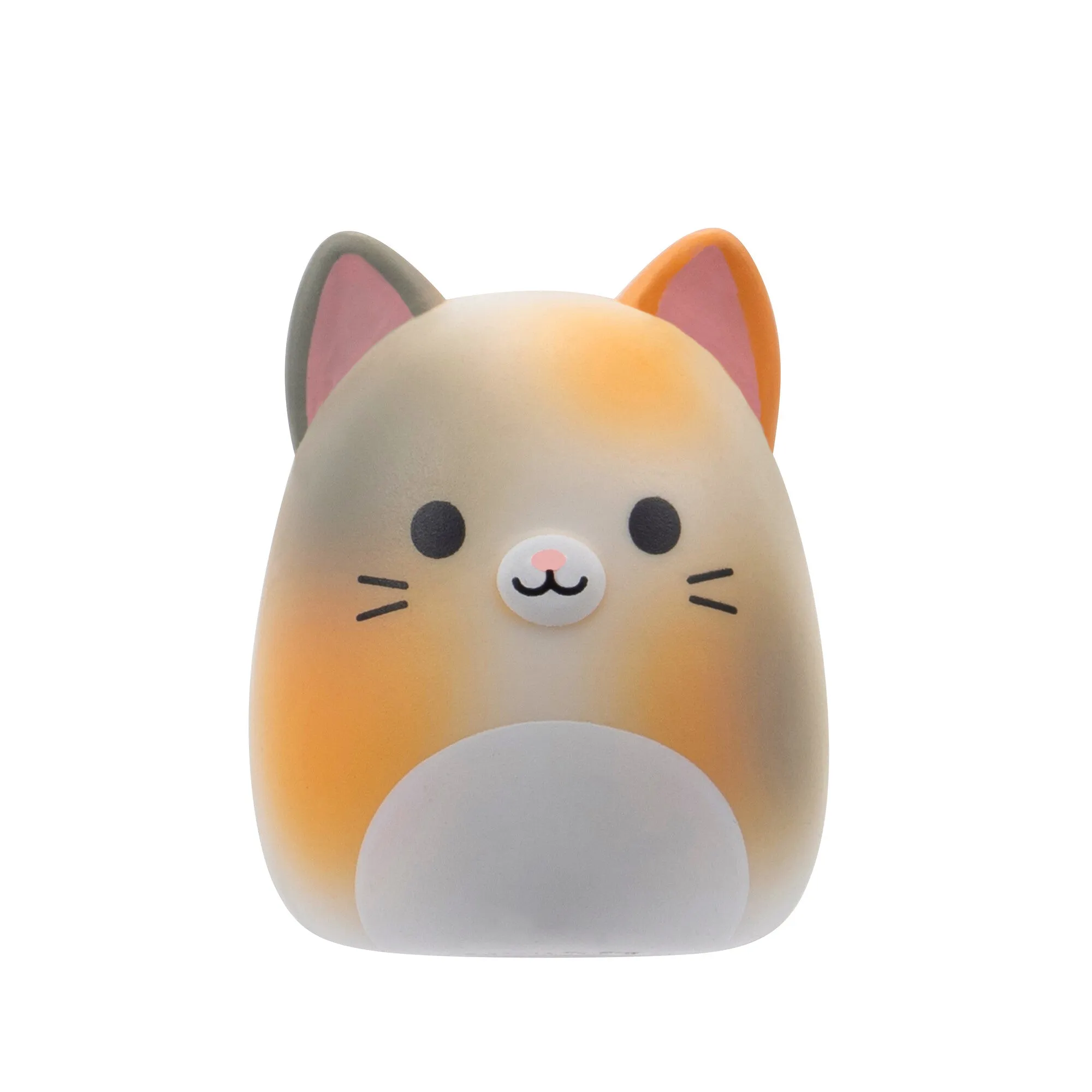 Squishalongs 2 Pack Blind Assortment