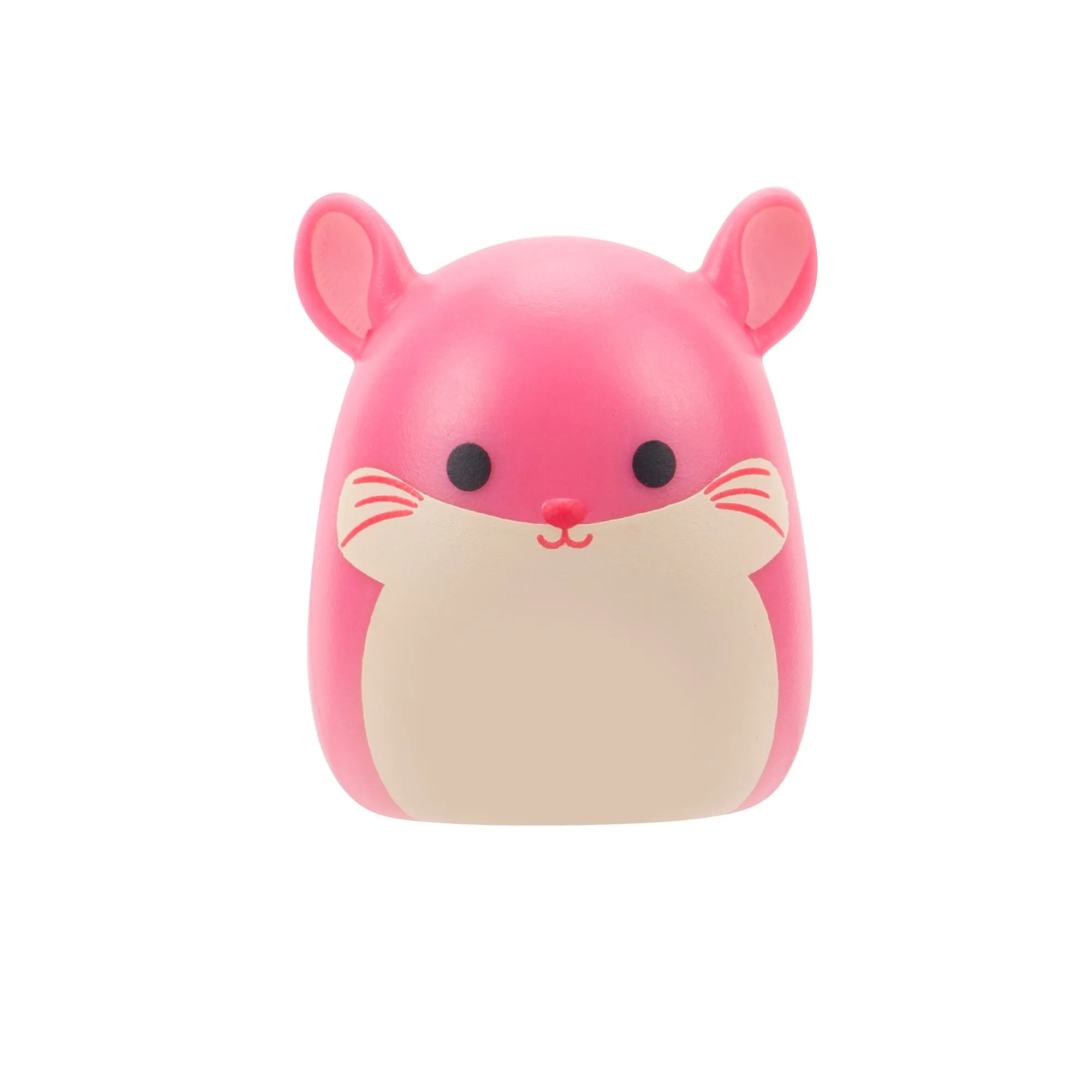 Squishalongs 2 Pack Blind Assortment