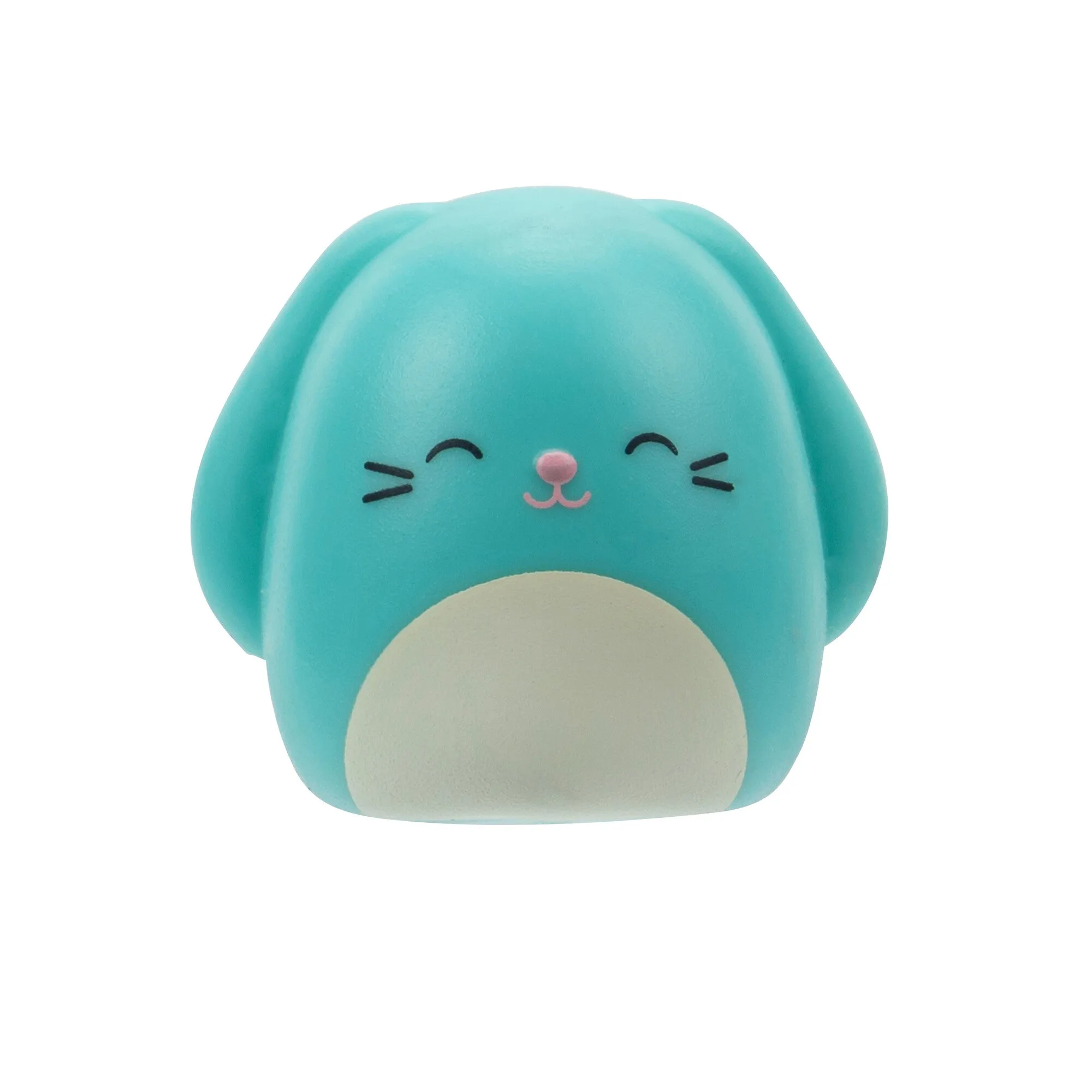Squishalongs 2 Pack Blind Assortment